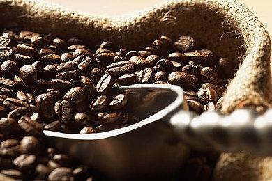 日本不到3%的预购玩家想要多语言版Switch 2